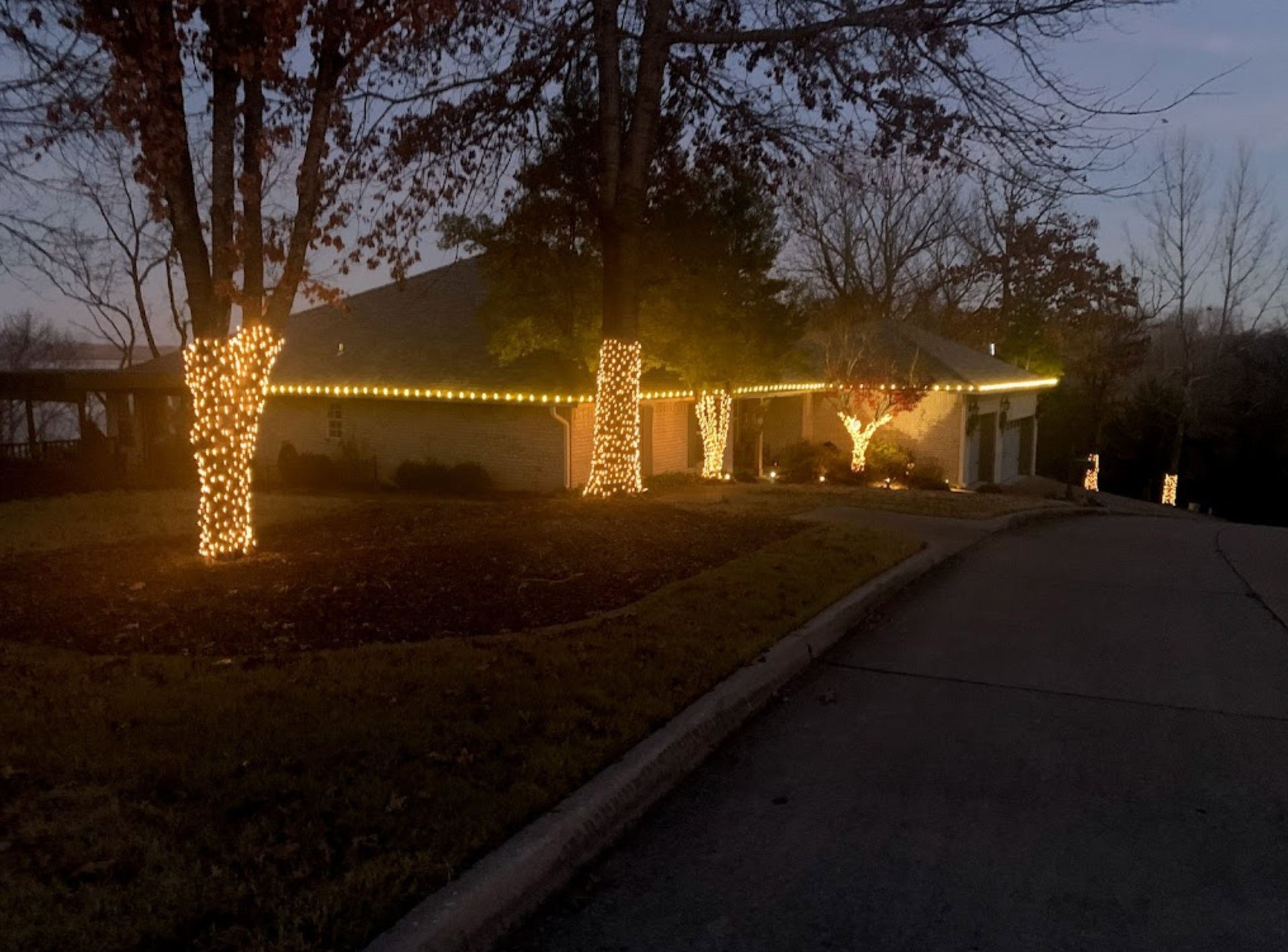 A house with christmas lights wrapped around the trees
