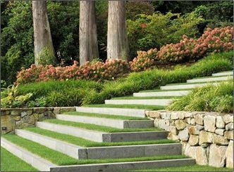 A set of stairs leading up to a lush green hillside.