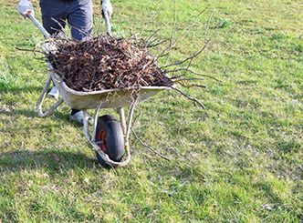 A person is pushing a wheelbarrow filled with branches.