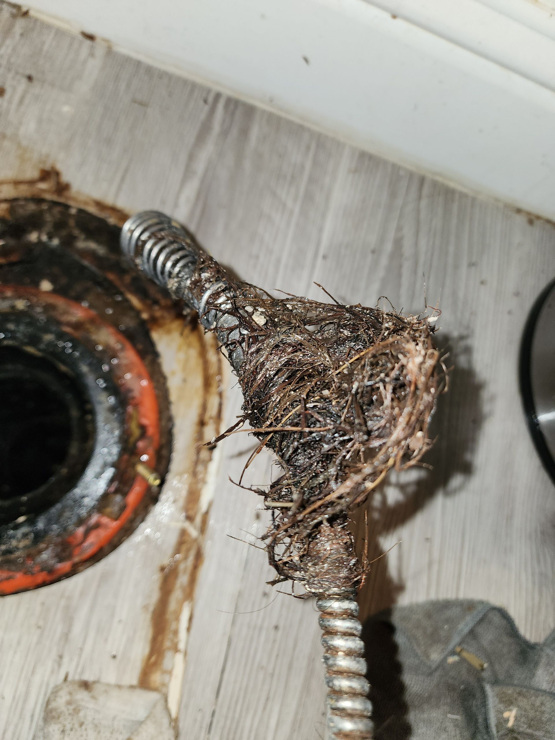 A close up of a drain with a hose sticking out of it