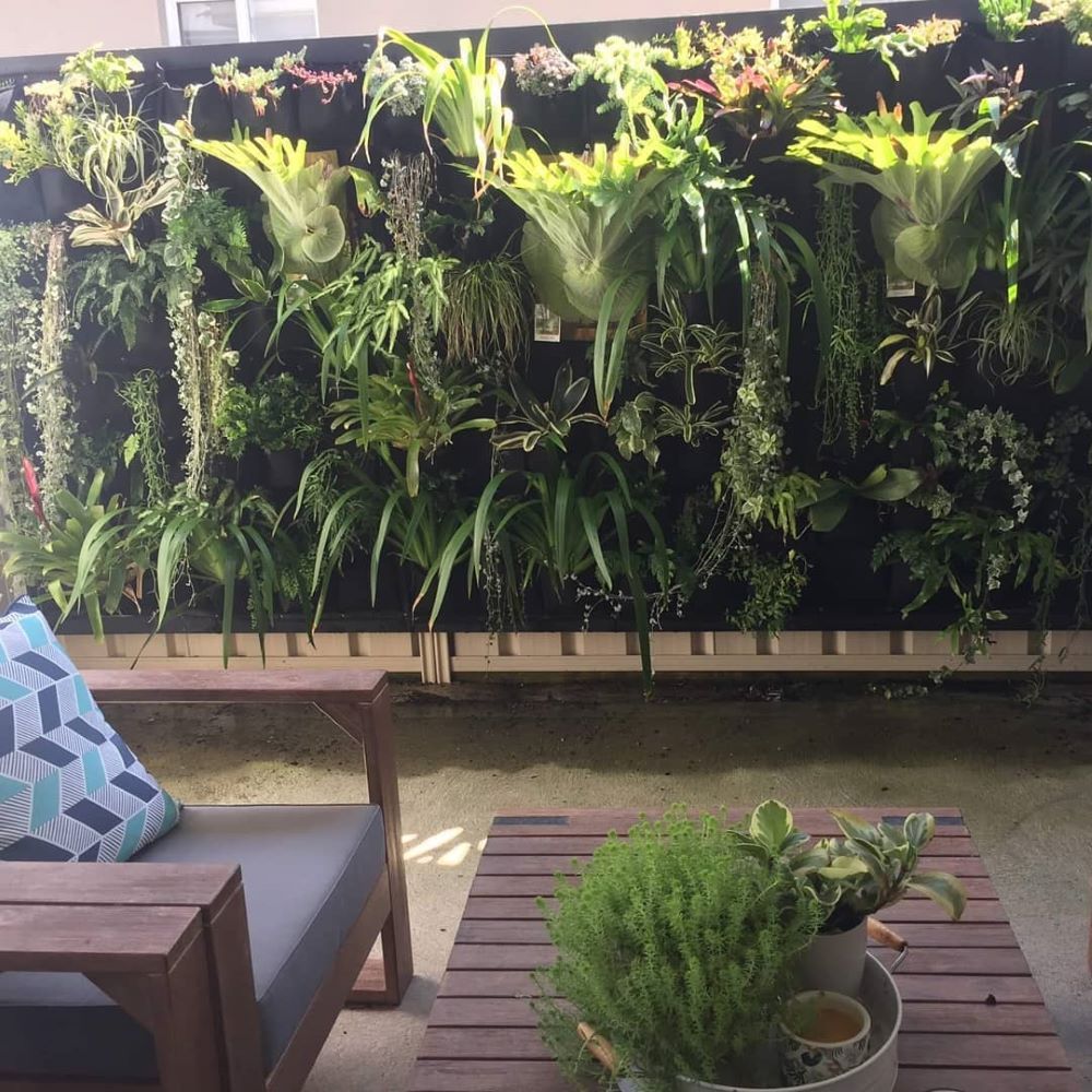 A Living Wall With Lots of Plants — Garden Vogue in Charlestown, NSW
