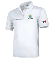 PLAYERAS Y CAMISAS RUELAS