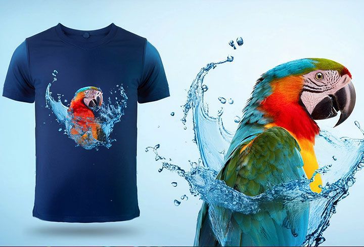 PLAYERAS Y CAMISAS RUELAS