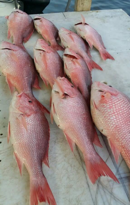 A bunch of red fish are sitting on a cutting board