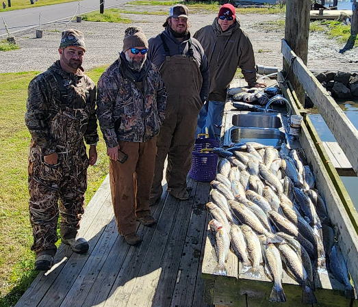 A group of men are standing next to a pile of fish on a dock.