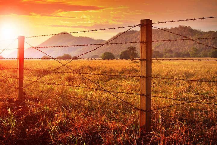 Barbed wire fence and and sunset sky over farm field 
