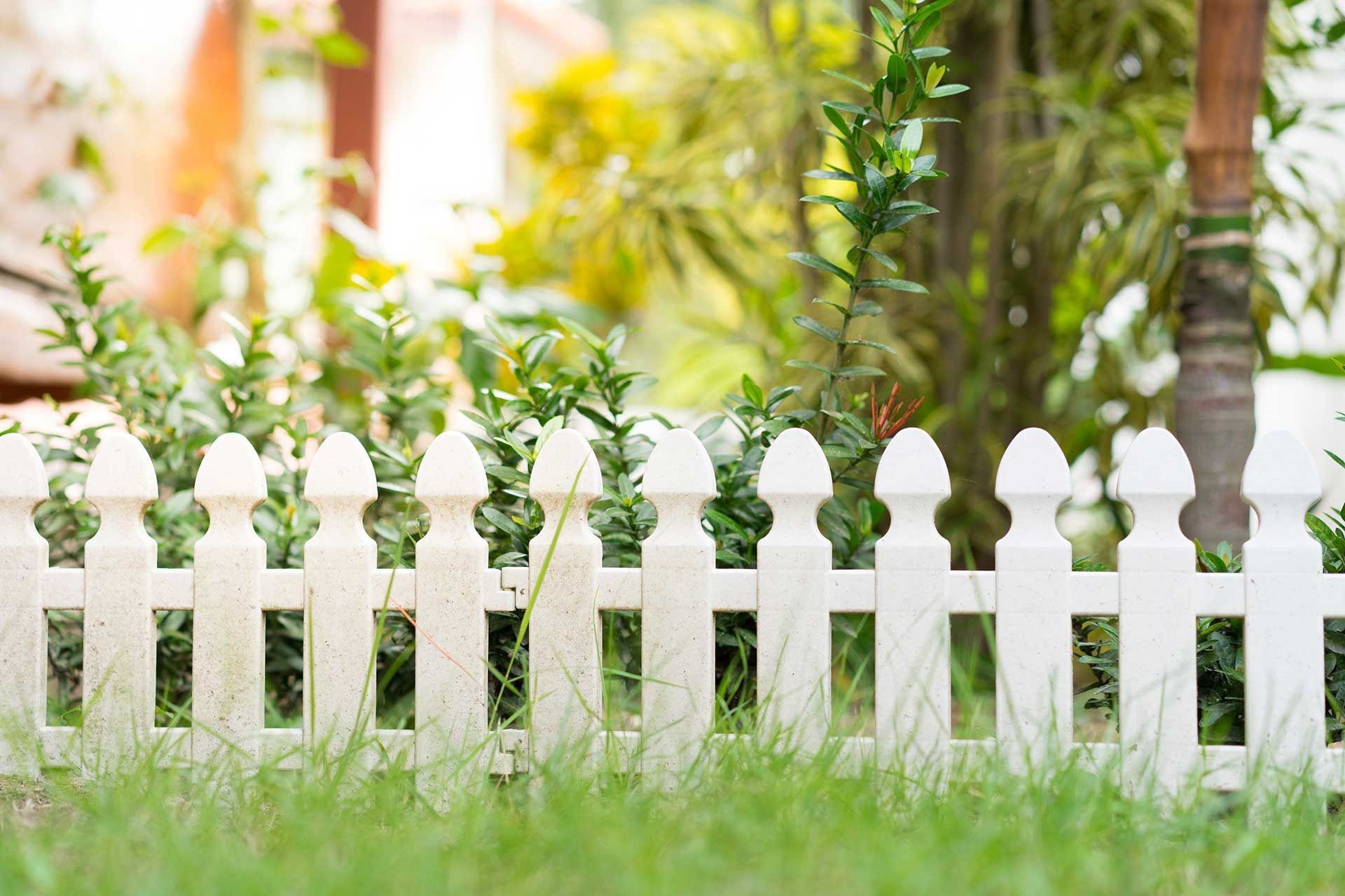Small garden fence 
