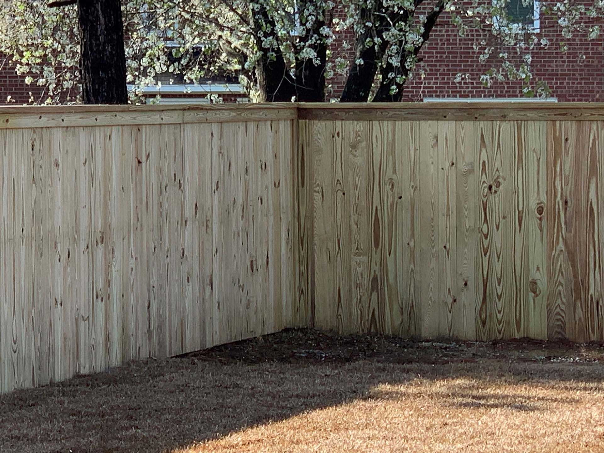 Cedar Fence