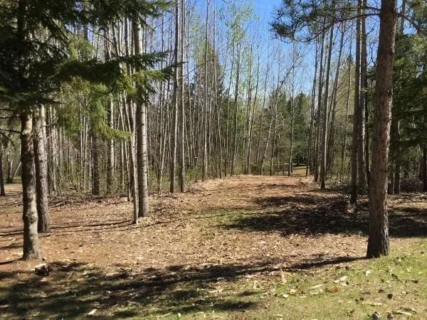 A path in the middle of a forest with trees and leaves on the ground.