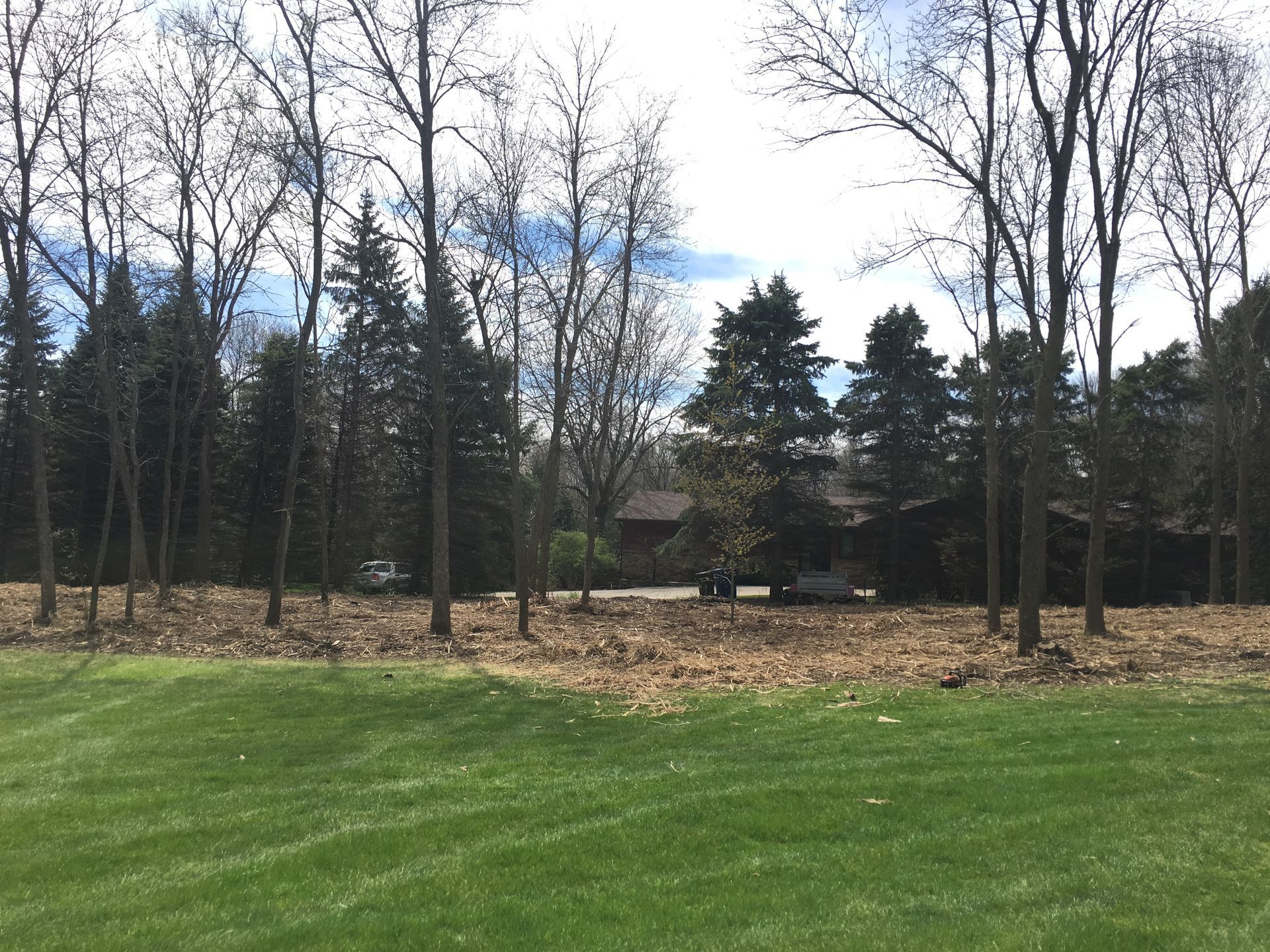 A lush green field with trees in the background and a house in the background