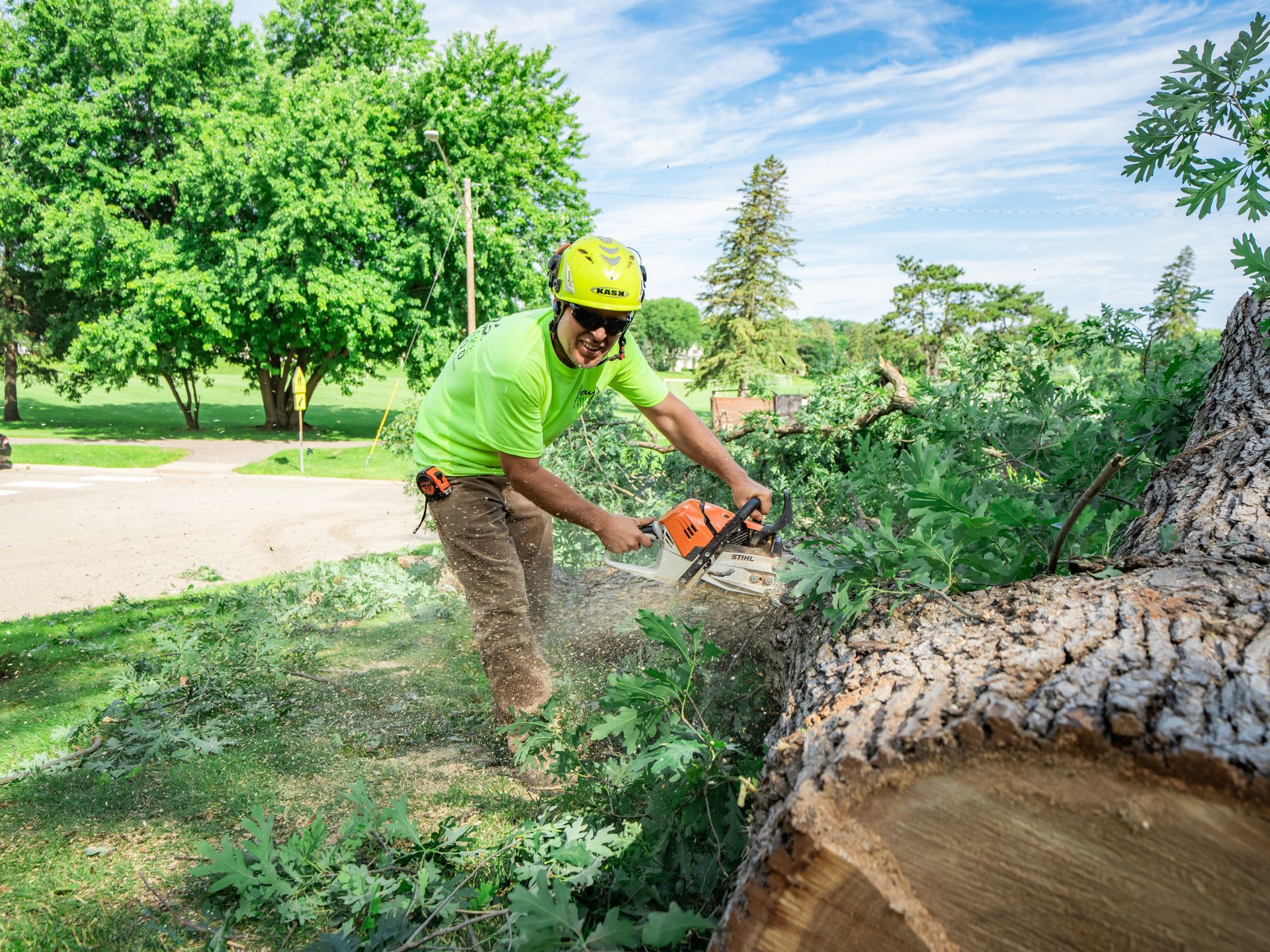 A man is cutting a tree with a chainsaw.