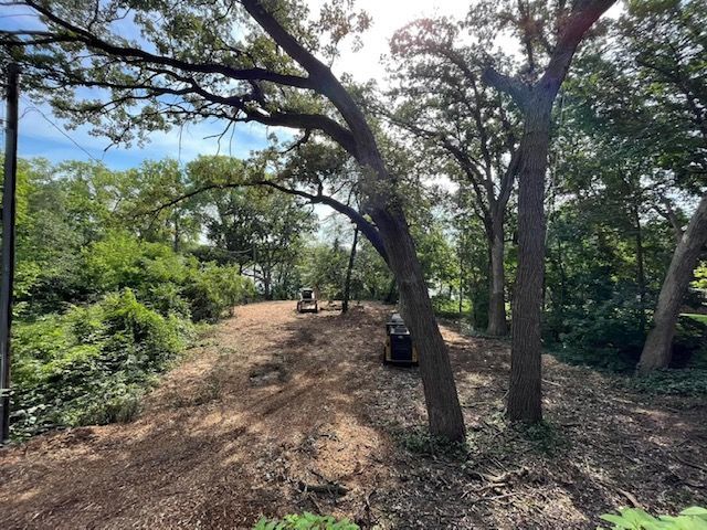 A dirt road surrounded by trees and bushes on a sunny day
