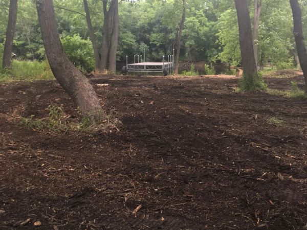 A dirt field in the middle of a forest with trees in the background.