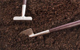Grade one standard top soil