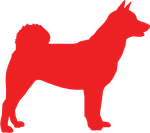 Cedar Rock Pet Service
