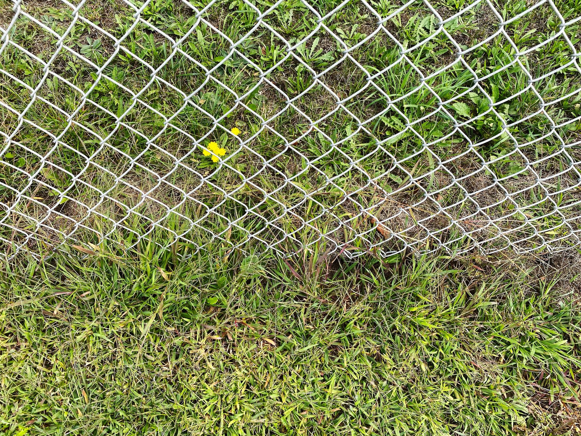 A chain link fence is sitting on top of a lush green field.