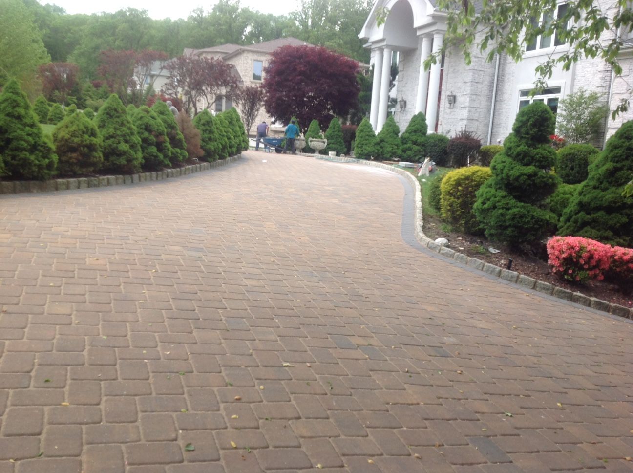 A brick driveway leading to a large white house surrounded by trees and bushes.