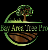 A logo for bay area tree pro with a tree in the middle