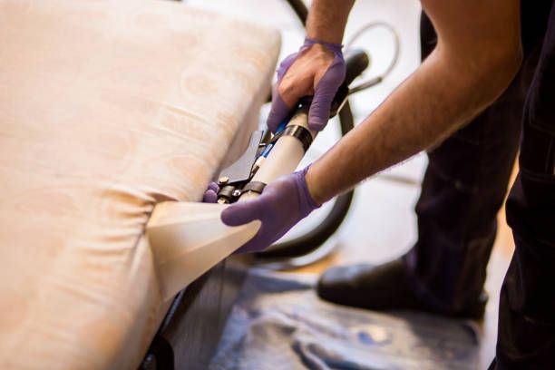 A person wearing purple gloves is cleaning a mattress with a vacuum cleaner.
