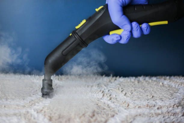 Picture of the professional cleaning process of a light-coloured carpet using hot steam