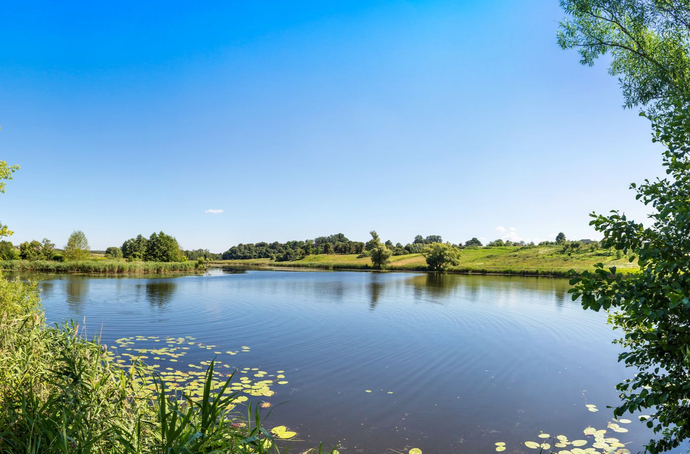 Beautiful small garden pond with frog-shaped fountain and stone shores.