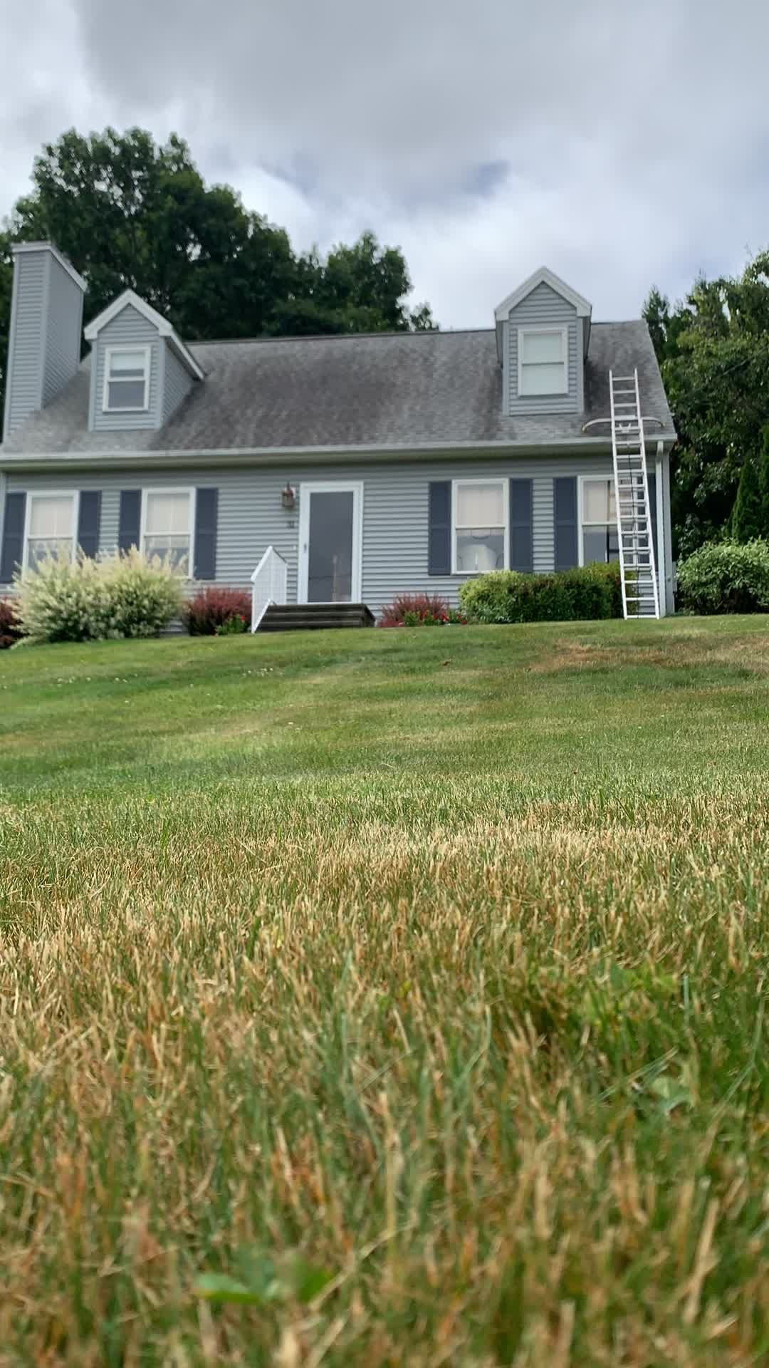 A house with a ladder on the roof is sitting on top of a lush green field.