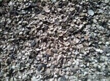 Washed Shell Sample — Ruskin FL  — Tampa Crosstie and Landscape Supply, Inc