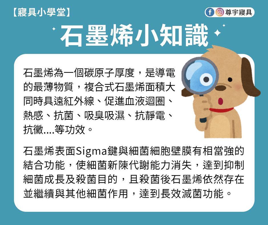 Reedy 五星級石墨烯科技可水洗天然蠶絲四季被,單人尺寸