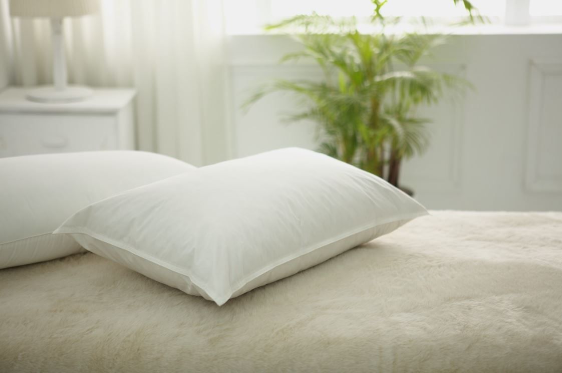 Reedy 頂級五星級飯店天然羽絨枕 (中低枕)