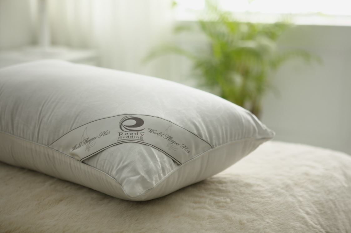 Reedy 國際五星級天然羽絨枕