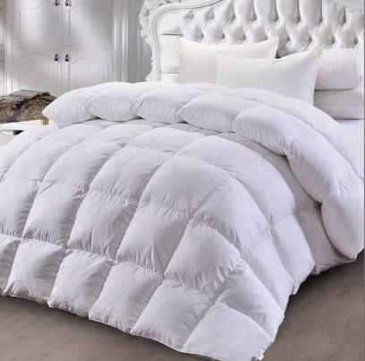 Reedy 頂級五星級涵品法國天然羽絨暖冬被