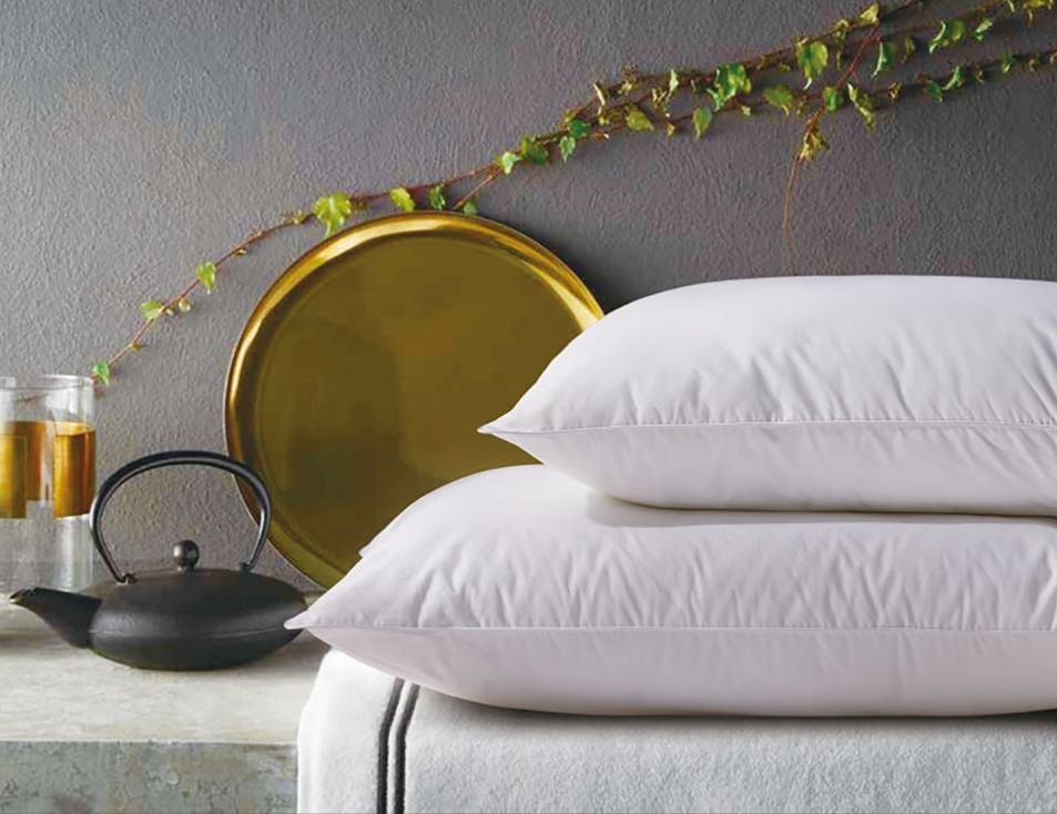 Reedy 高科技五星級可水洗枕-加高型