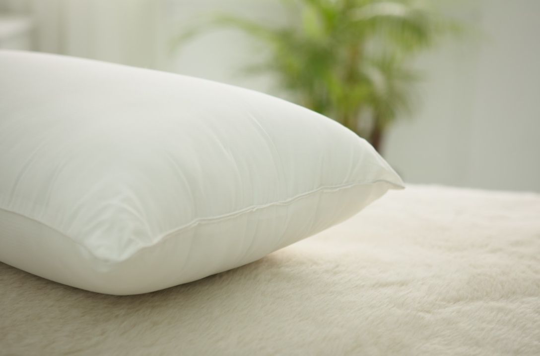 Reedy 頂級五星級銀離子科技抗菌纖維枕