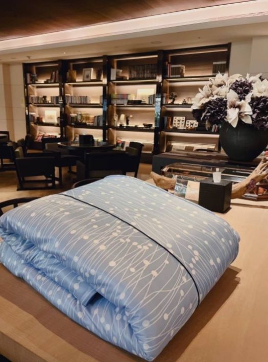 Romsey 五星級石墨烯銀離子蠶絲科技涼夏被