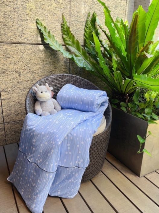 Romsey 五星級可水洗石墨烯銀離子科技涼夏被