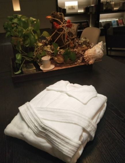 ***預購***Reedy 頂級五星級涵品舒絨浴袍