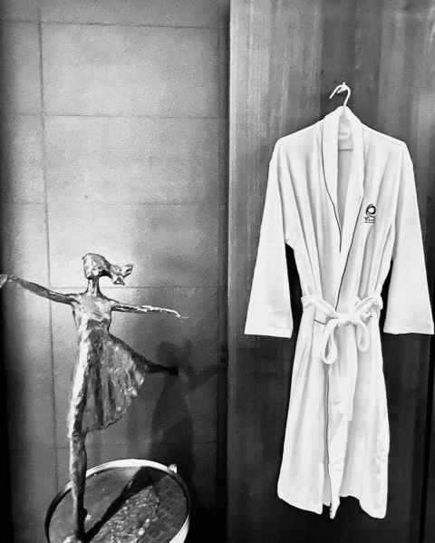 Reedy 國際五星臻品浴袍