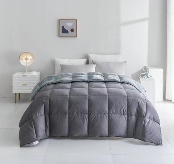 Reedy 石墨烯科技天然雁鴨羽絨被，加大尺寸(240x210 cm)