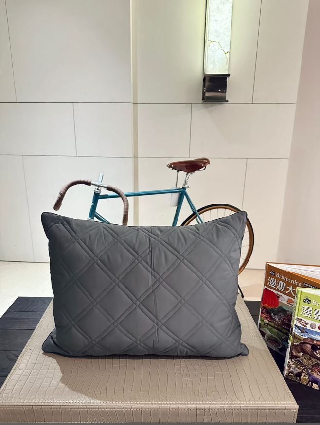 Reedy 五星級石墨烯四區式可水洗科技纖維枕(兒童款加高枕)