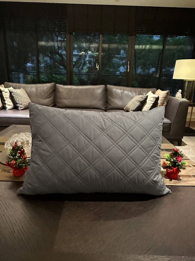 Reedy 五星級石墨烯四區式可水洗科技纖維枕(標準型)