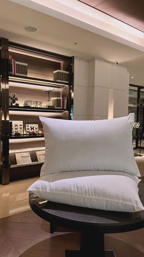 Reedy 五星級石墨烯銀離子科技纖維枕