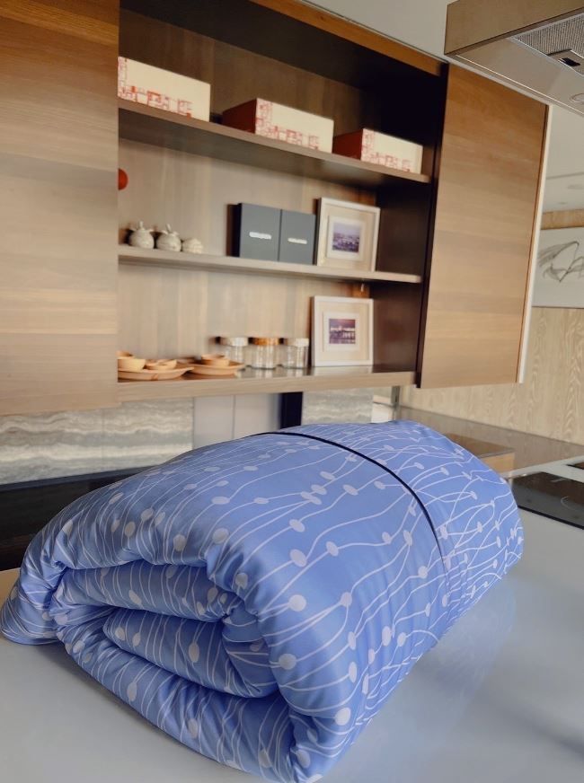 Reedy五星級石墨烯可水洗蠶絲科技四季被