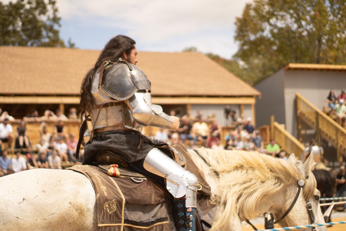 A man in armor is riding on the back of a white horse.
