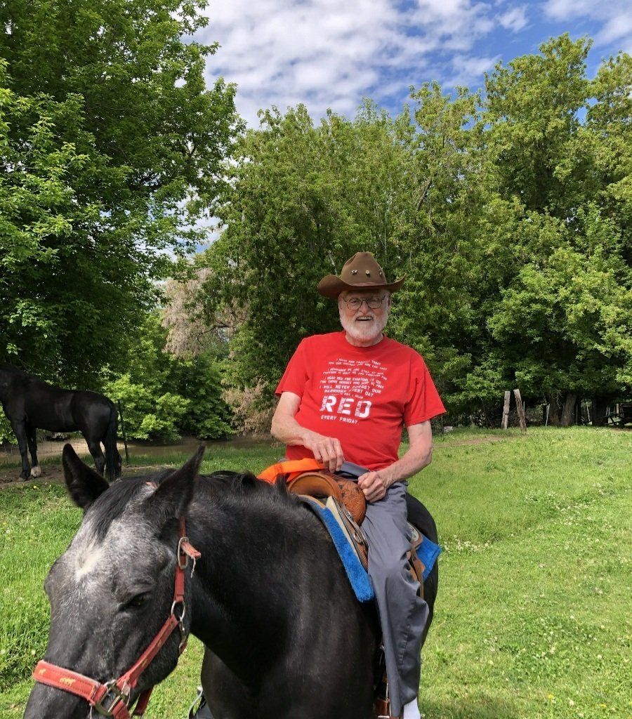 Equine therapy services photos