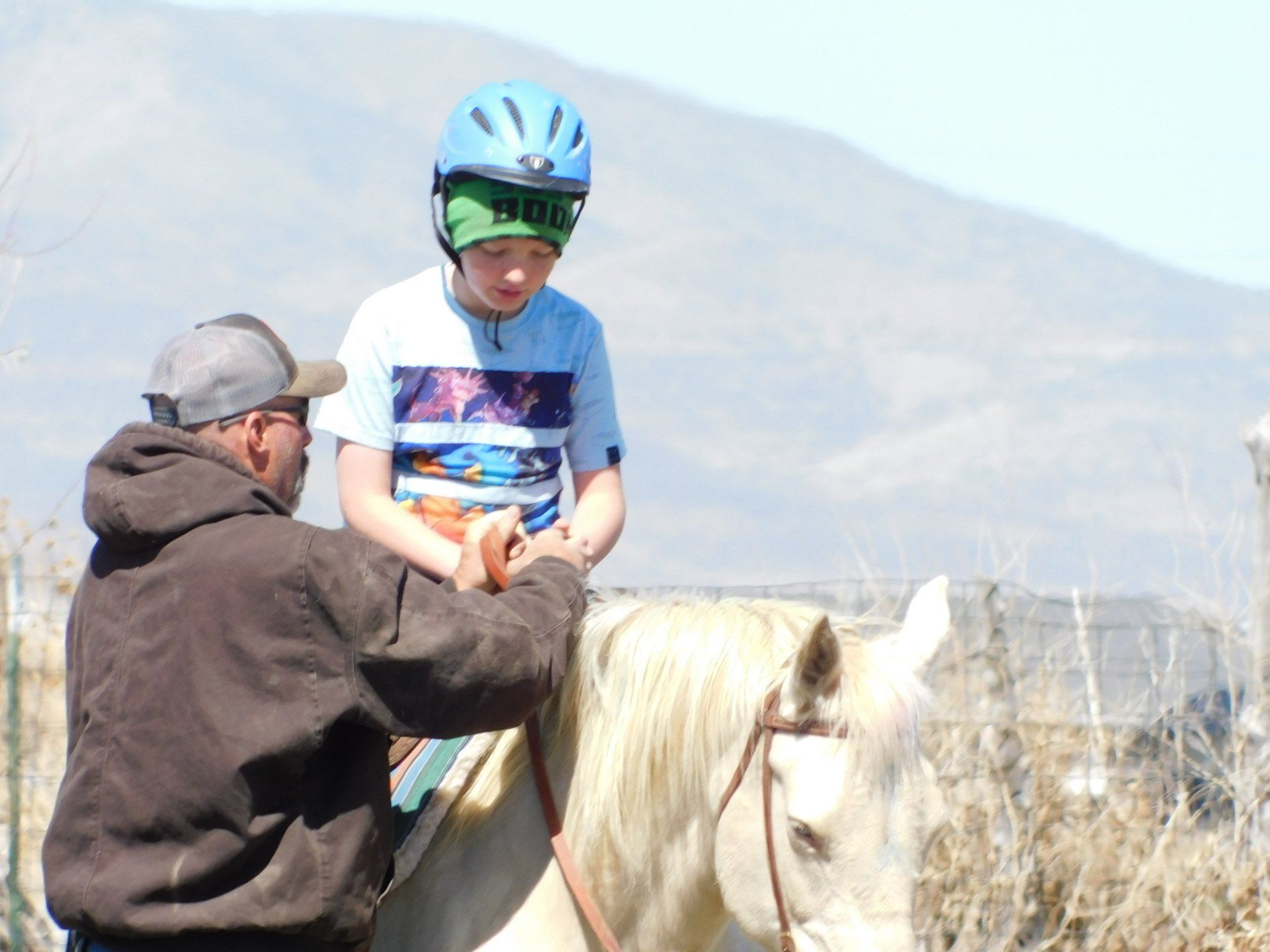 Equine therapy services photos