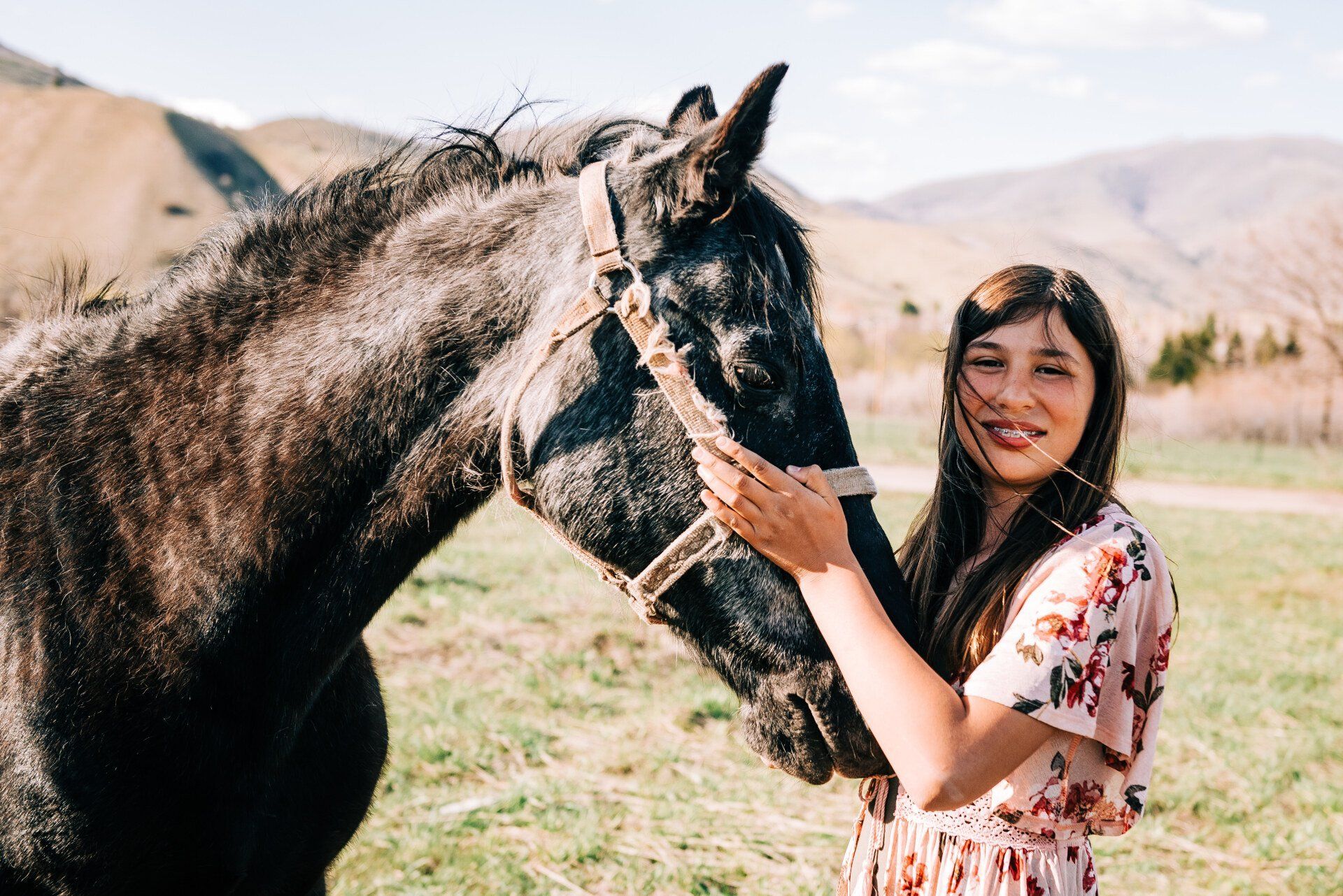Equine therapy services photos