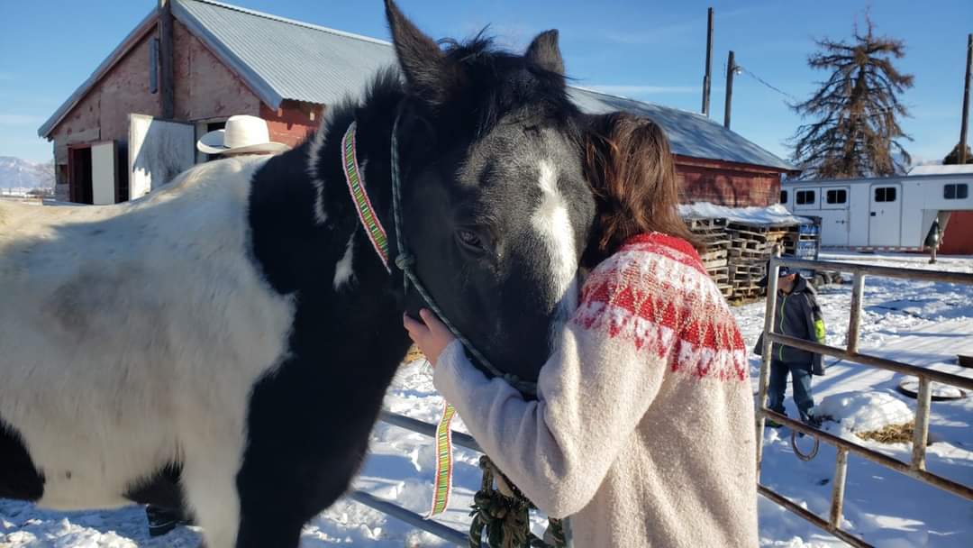 Equine therapy services photos