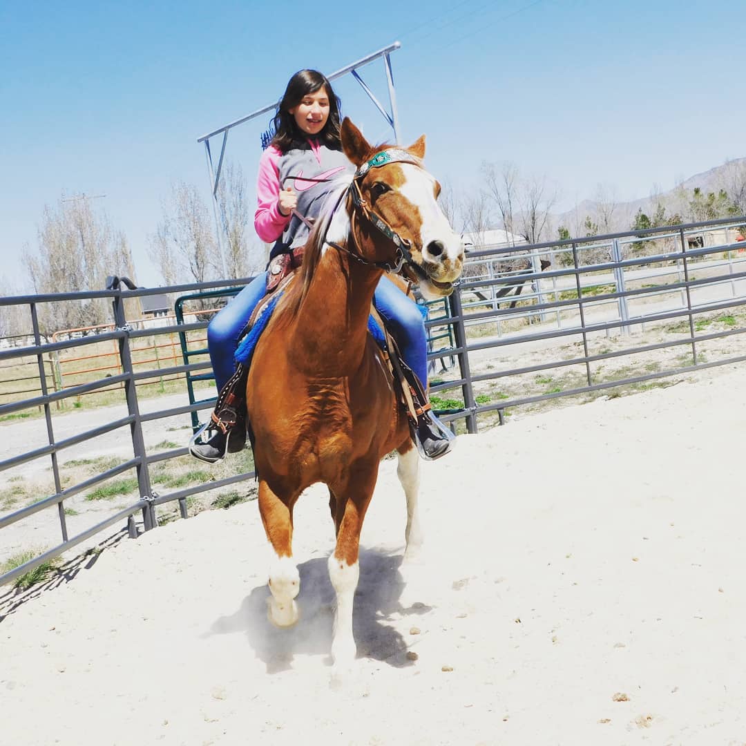 Equine therapy services photos