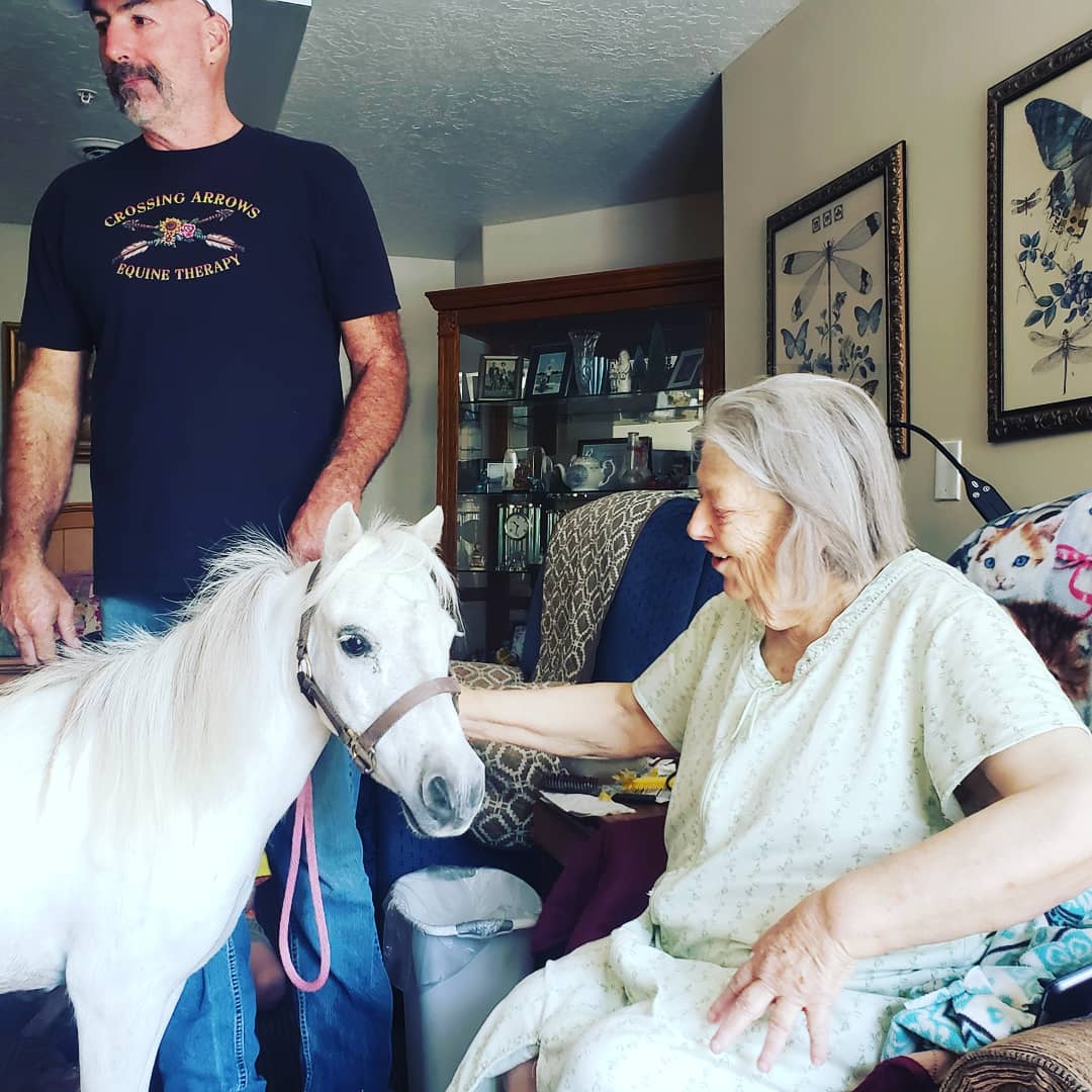 Equine therapy services photos