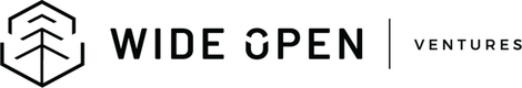 wide open ventures logo